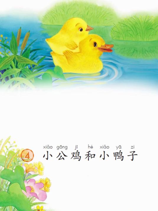 一年级语文下册课文《小公鸡和小鸭子》