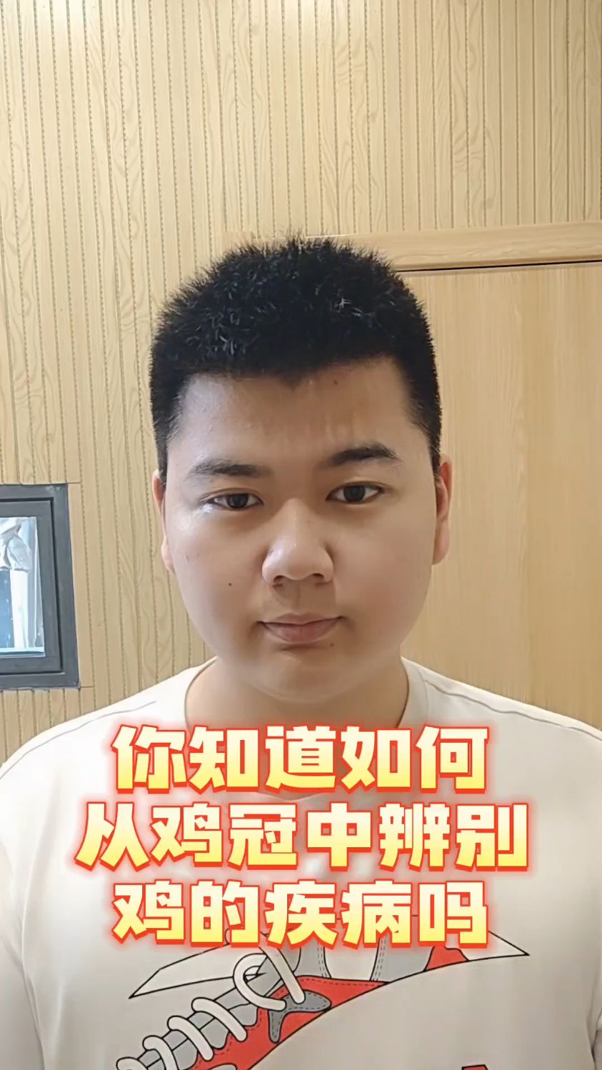 #鸡冠的信号你知多少鸡冠发白是什么问题鸡冠突然变紫是什么鸡的鸡冠发黑怎么办 #养鸡
