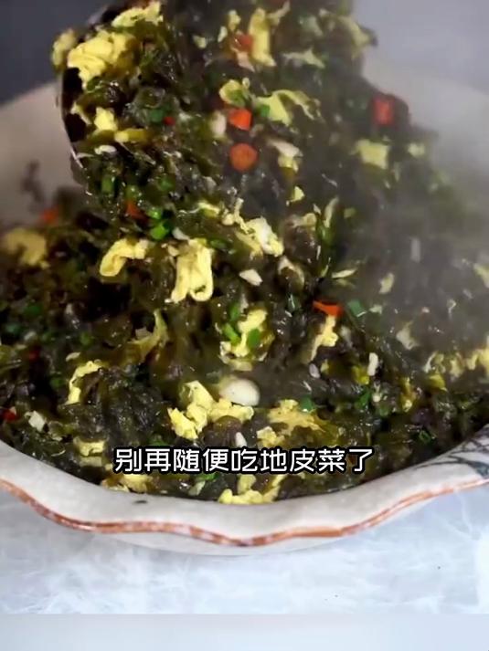 吃地皮菜,这些禁忌不能忘!