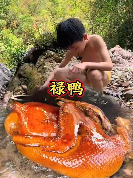 顺着小溪来的鸭子,儿子捡回家给爸爸做禄鸭