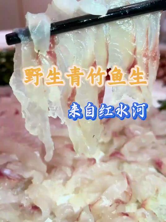 #优质视频激励计划# 广西红水河野生青竹鱼生肉质晶莹剔透，周末小聚鱼生走起