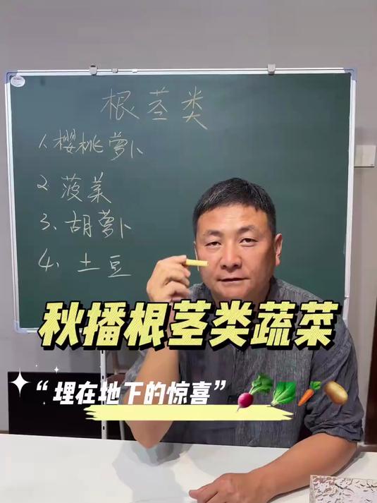 小白也可以种得很好的根茎类蔬菜试试