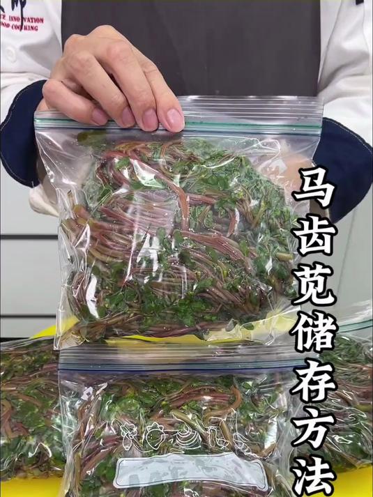 马齿苋储存方法