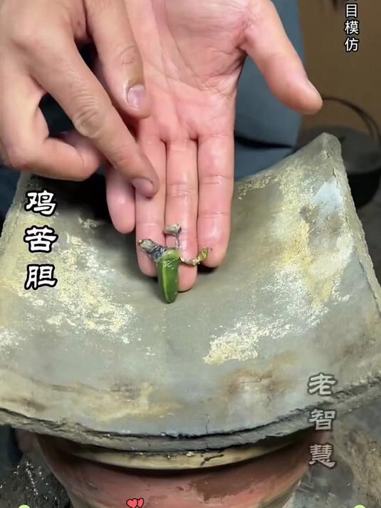 家常滋补养生汤谱大全，食材常见做法简单，四季对症煲汤，全家老少都能喝的养生食谱书