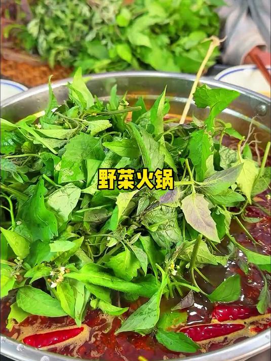 山间无杂草，认识都是宝，春天到处都是新鲜的野菜