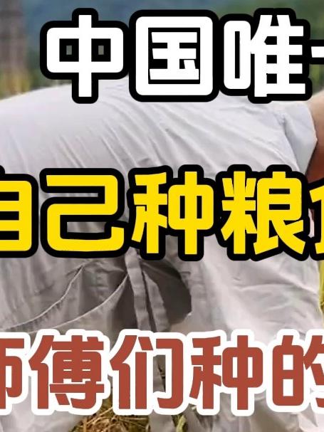 中国唯一一个自己种粮食的寺庙,师傅们种的米特别香