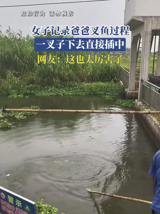 女子记录爸爸叉鱼过程,一叉子下去直接插中,网友:这也太厉害了