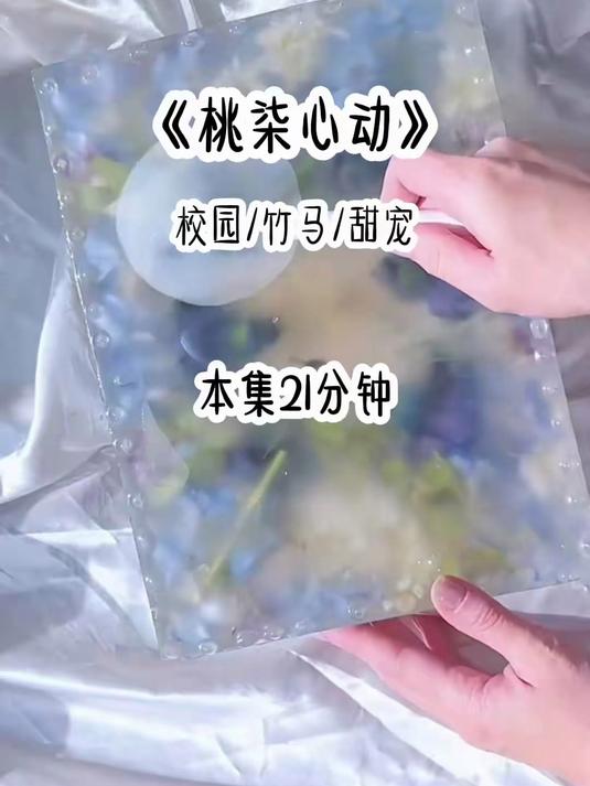 桃柒心动 #甜宠文 #暗恋 #校园