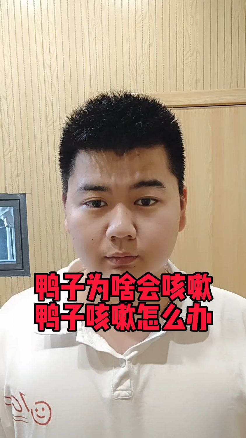 #鸭咳嗽是什么原因导致的鸭子咳嗽用什么鸭子感冒咳嗽吃什么产蛋鸭感冒咳嗽用什么 #养鸭
