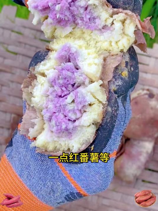 这么好吃的冰淇淋番薯早餐晚餐代餐都可以吃它特别的粉面香甜好吃