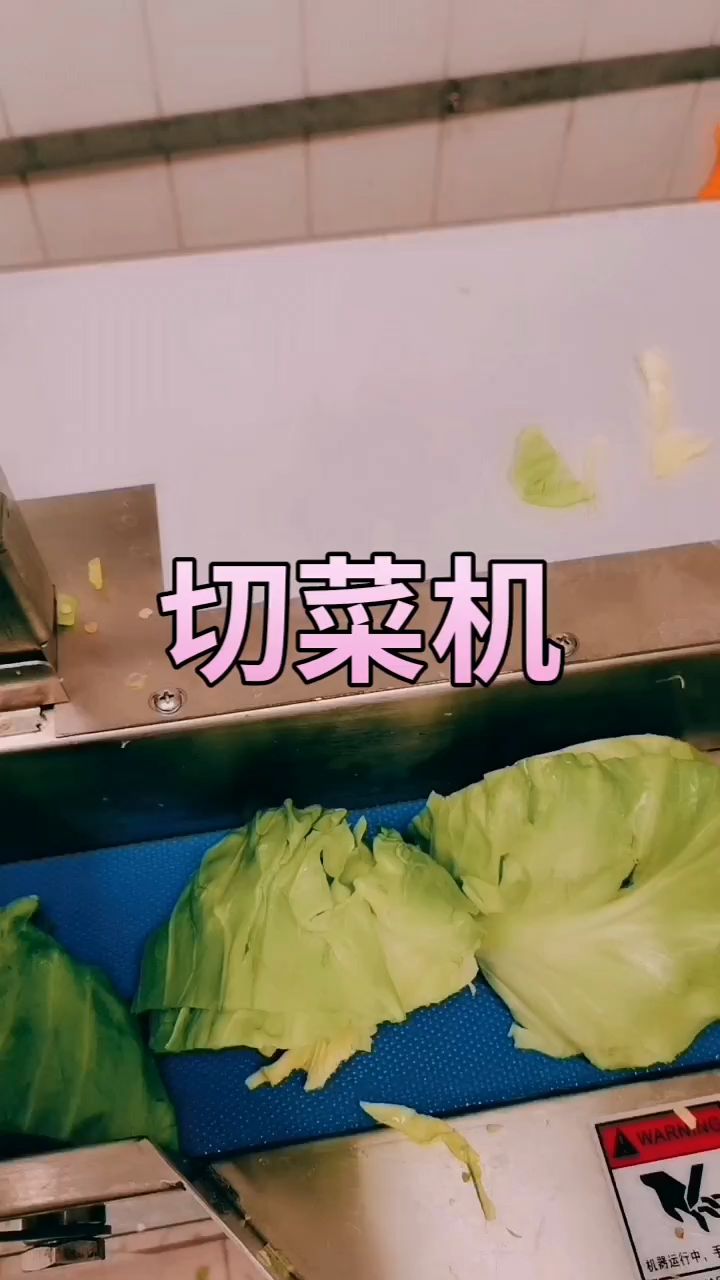 多功能小型家用切菜机,生活的小帮手