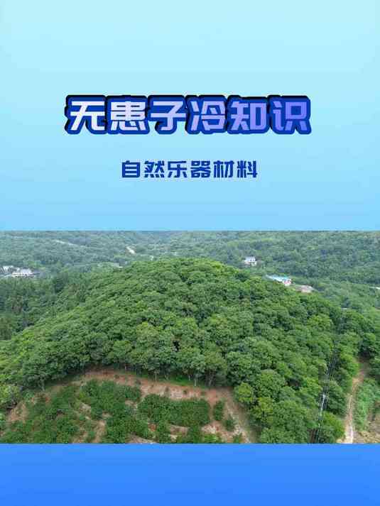 原来无患子还可以做乐器?冷知识大揭秘!