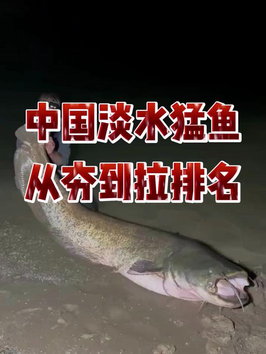 中国淡水猛鱼从夯到拉排名