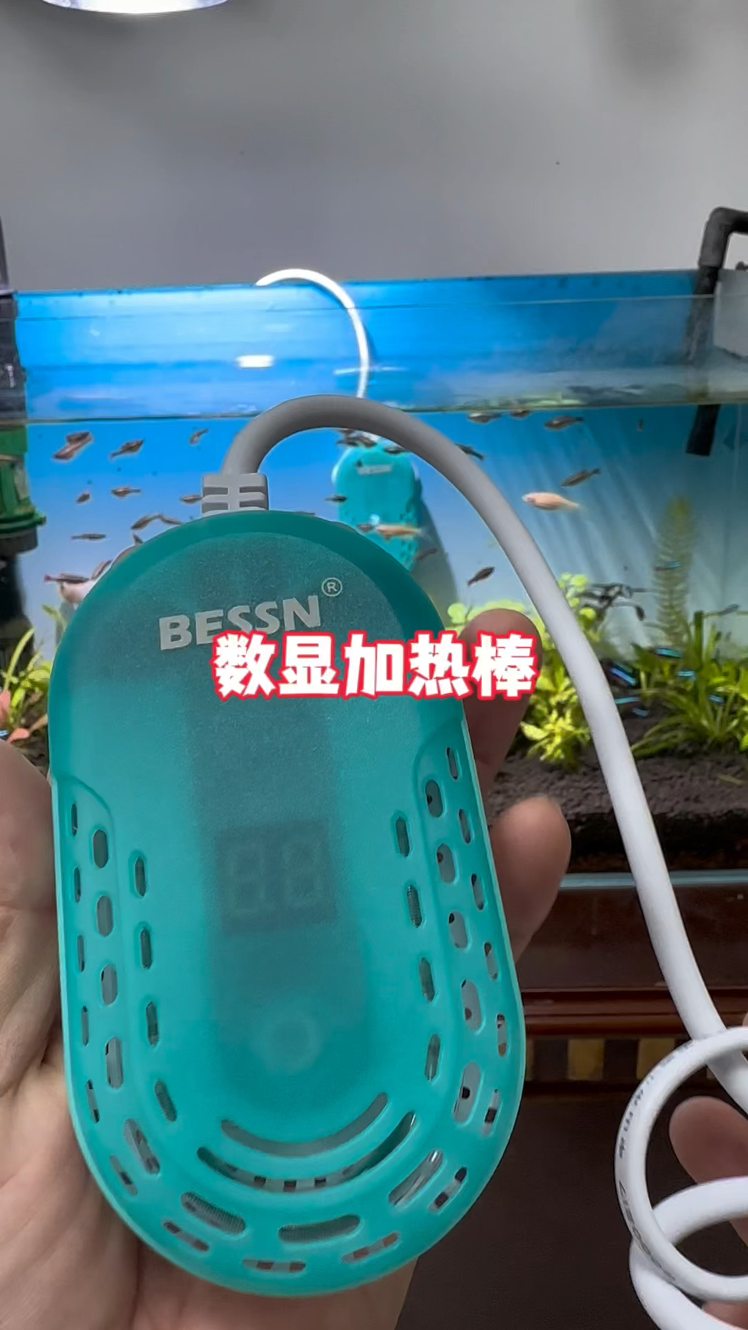 离水断电防止干烧爆炸,使用安全还不贵关键颜值高谁不喜欢呢#水族 #鱼缸里的大自然