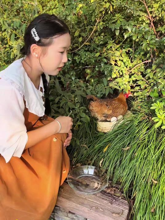 正宗山林散养土鸡蛋，蛋黄饱满，蛋清晶莹剔透