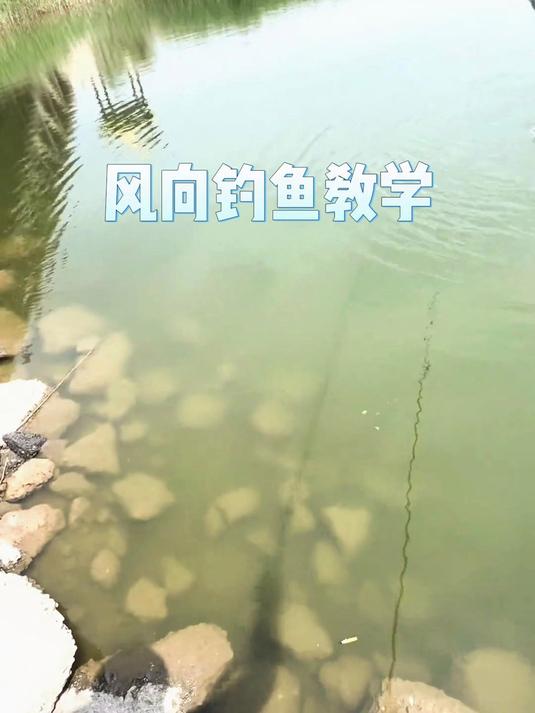 钓鱼一定要会看风向 钓鱼 钓大鱼 钓鱼技巧