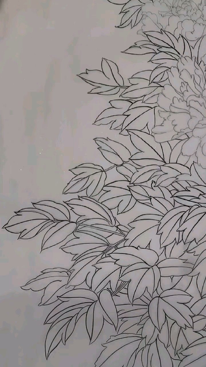 《牡丹锦鸡》白描