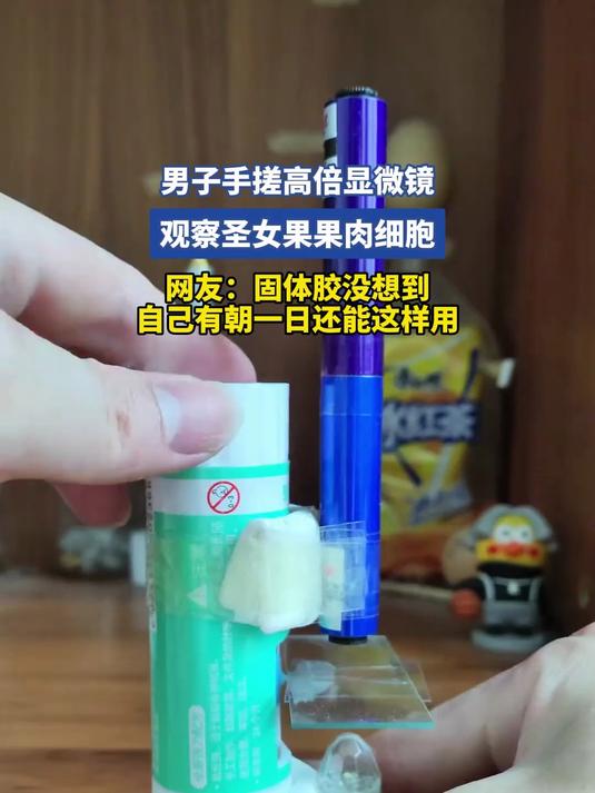 男子手搓高倍显微镜,观察圣女果果肉细胞