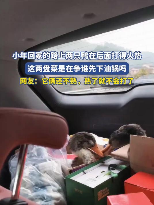 小年回家的路上两只鸭在后面打得火热，这两盘菜是在争谁先下油锅吗#马上就出发#