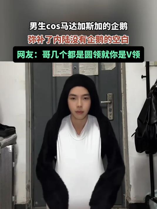 男生cos马达加斯加的企鹅,网友:哥几个都是圆领就你是V领
