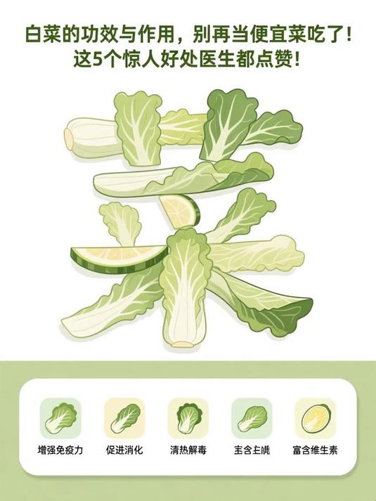 白菜的功效与作用，别再当便宜菜吃了！这5个惊人好处医生都点赞！#春分养生攻略#