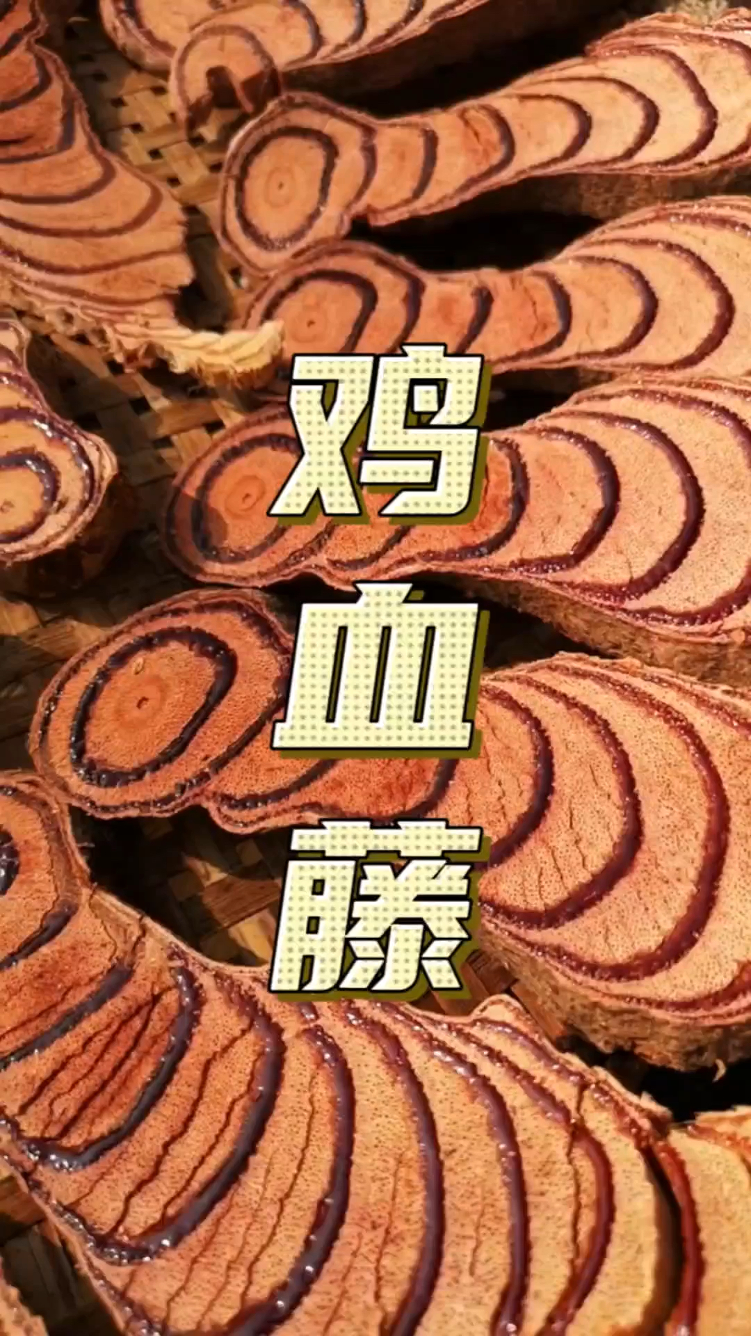 会流血的植物,它就是鸡血藤, 大家知道它有哪些用途吗?来评论区和大家一起分享