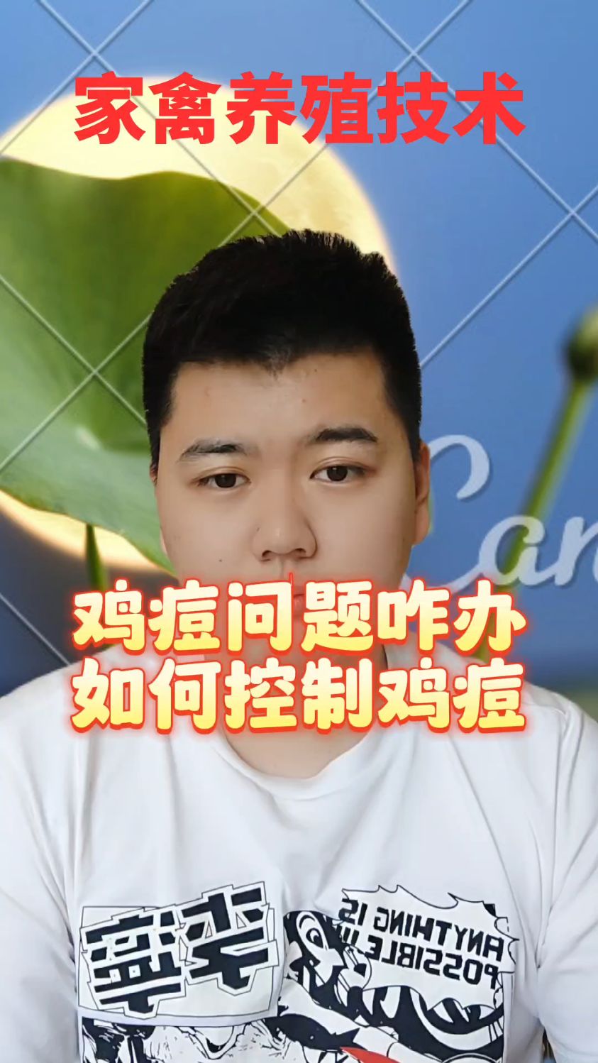 #鸡痘是什么病毒引起的鸡的鸡冠上长疙瘩是什么原因公鸡头上长疙瘩是怎么回事