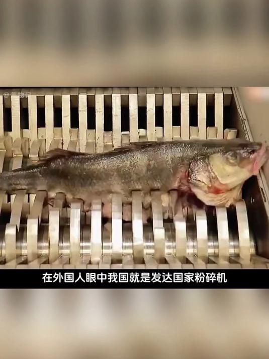 南极磷虾油凝胶糖果,抗氧化实力爆棚,助你活力满满
