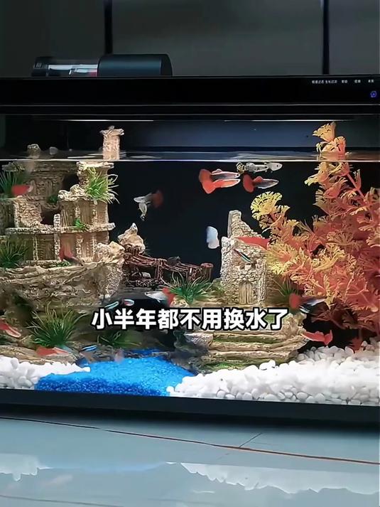 米家智能生态鱼缸