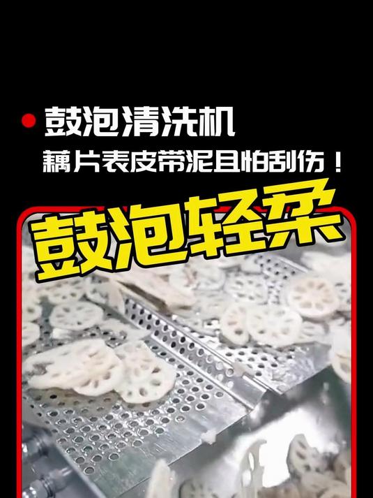 酱菜厂腌糖醋藕片?藕片表皮带泥且怕刮伤!鼓泡清洗机