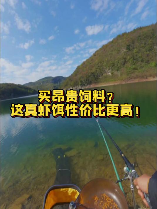 买昂贵饲料?这真虾饵性价比更高!
