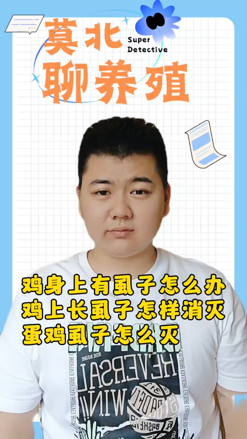 #鸡身上有虱子怎么办鸡上长虱子怎样消灭鸡身上有很小的虫子是什么蛋鸡虱子怎么灭