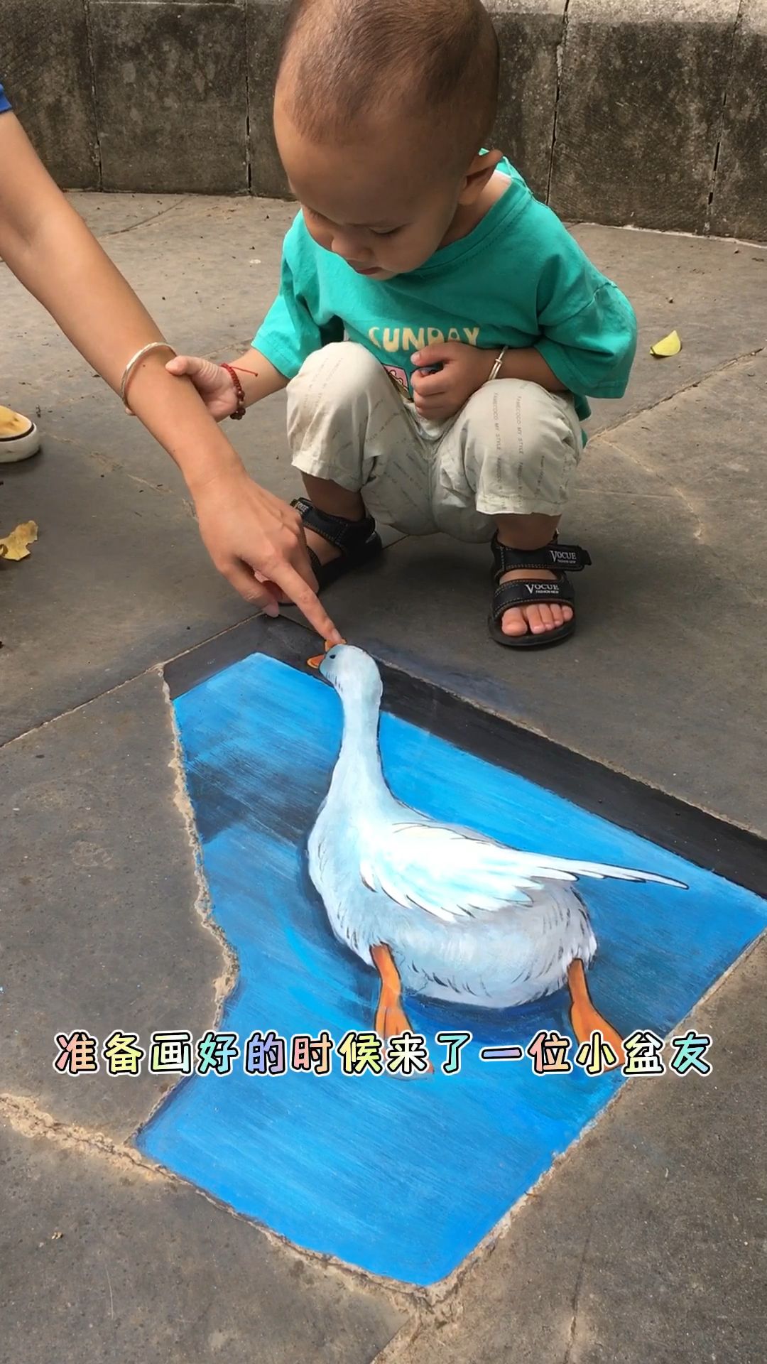 大白鹅真的好治愈,养一只当宠物应该很不错吧!