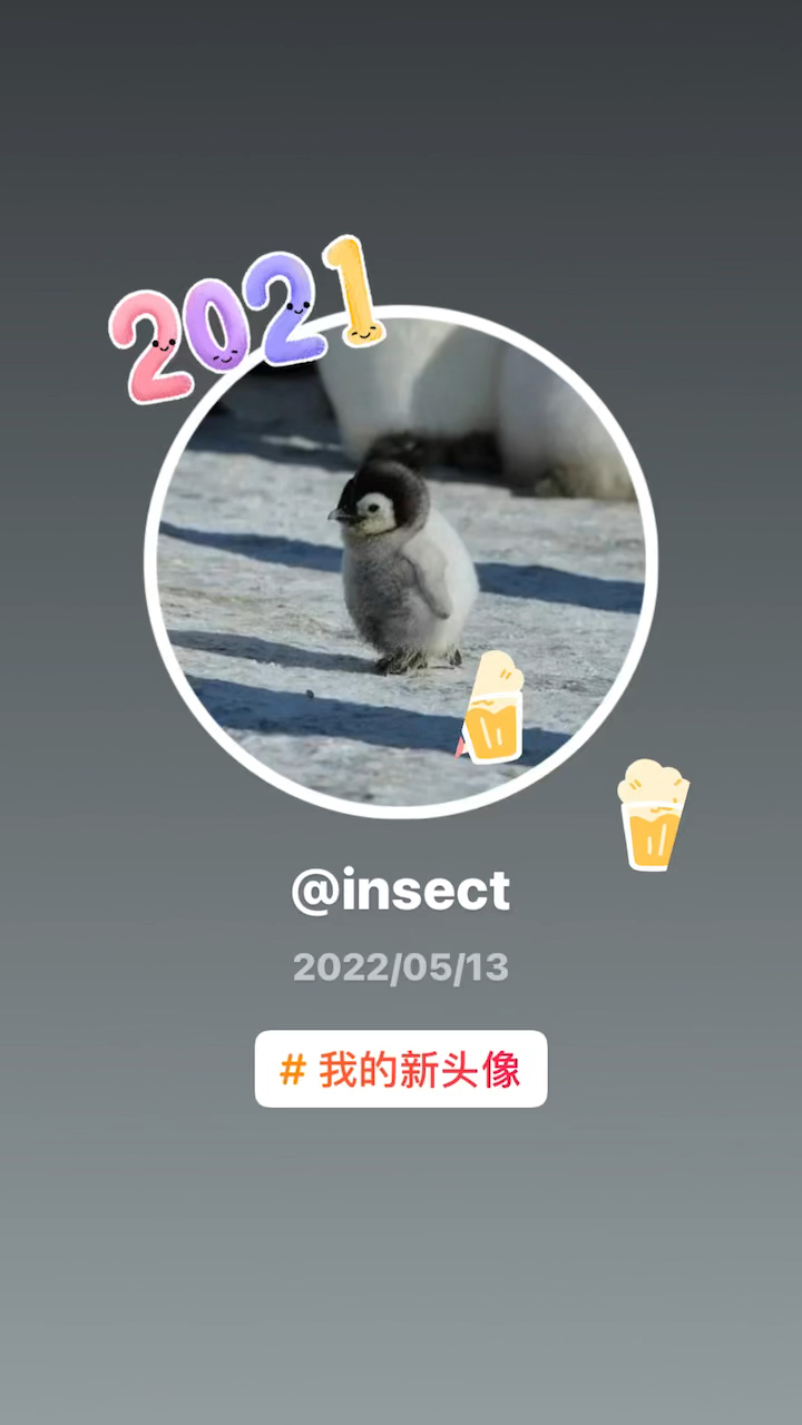 新头像小企鹅