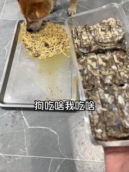 “狗吃啥 我吃啥,狗哥帮我选乌鸡卷”