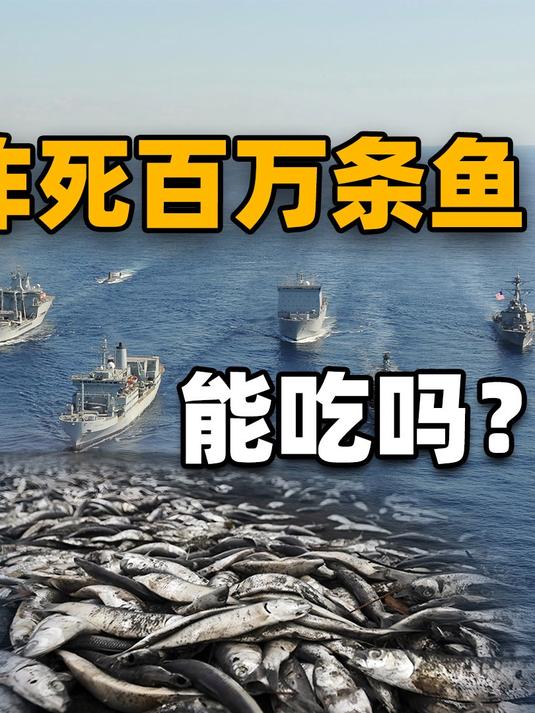 一次100万条鱼,各国海上军演怎么处理被炸死的鱼?我国最机智!