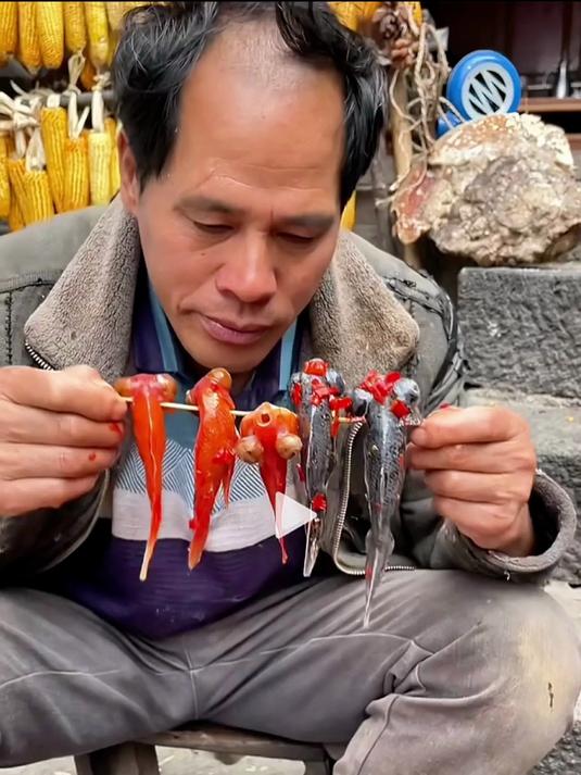 邻居家鱼缸昨晚忘记打氧 鱼都漂头了 丢了可惜了