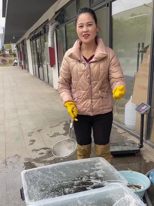 今天的鱼获可以吧
