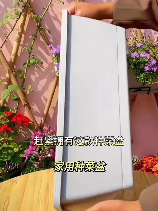 想要在家种菜种花,选长条塑料盆,结实轻便好打理!