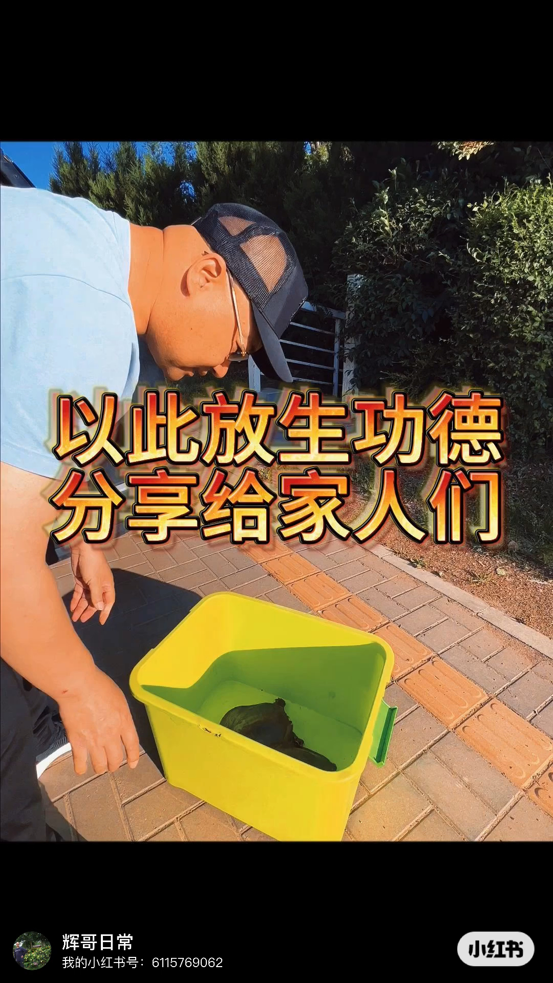 放生甲鱼万物皆有灵你看看回头了