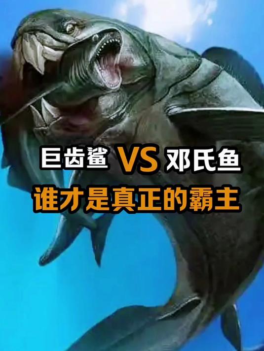谁才是真正的霸主