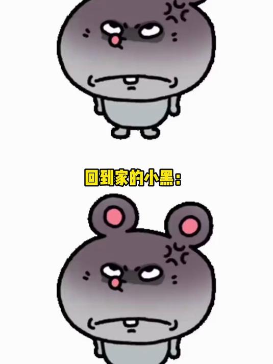 #2026万象创作者大赛#小黑:好消息,被拐遇到亲戚了 坏消息,亲戚不认识我