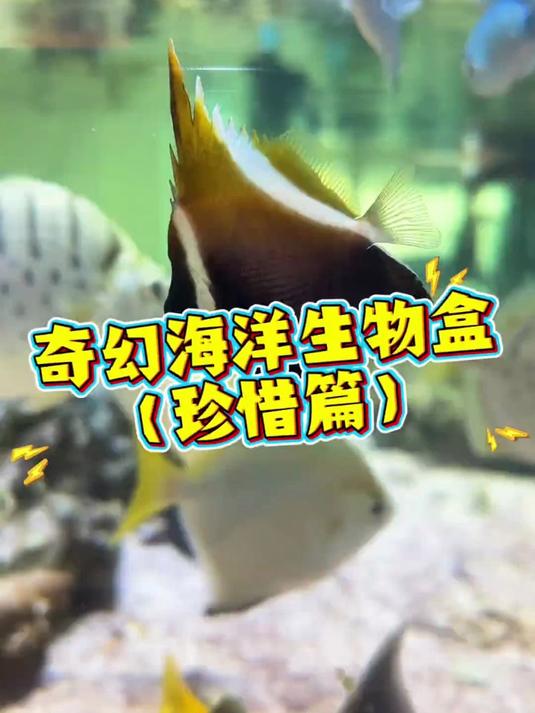 我的海洋生态系统变养老院了……