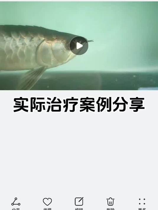 龙鱼全身炸鳞，这次真的有办法了