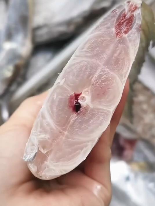 海捕新鲜带鱼,中段切块,肉质细嫩不腥