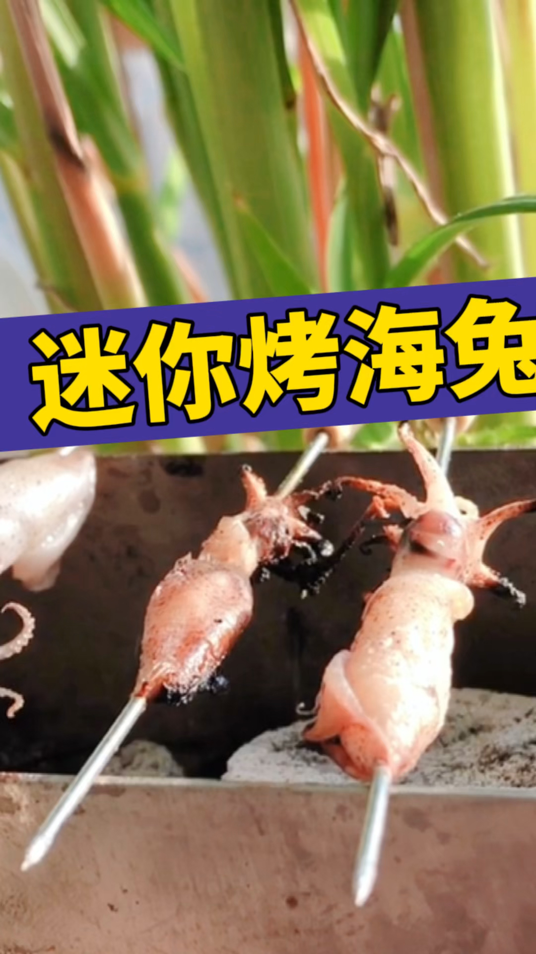 试图做一个迷你烤海兔,猫咪反应太真实