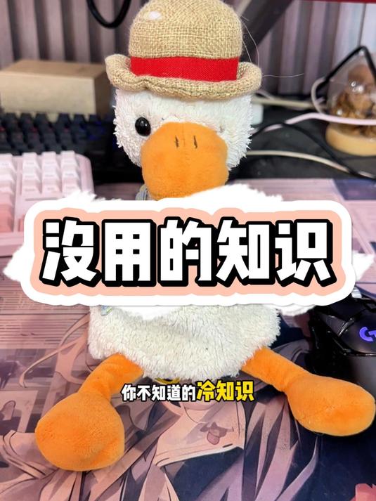 没用的知识#暴躁老秦##复读鸭##老秦呀#