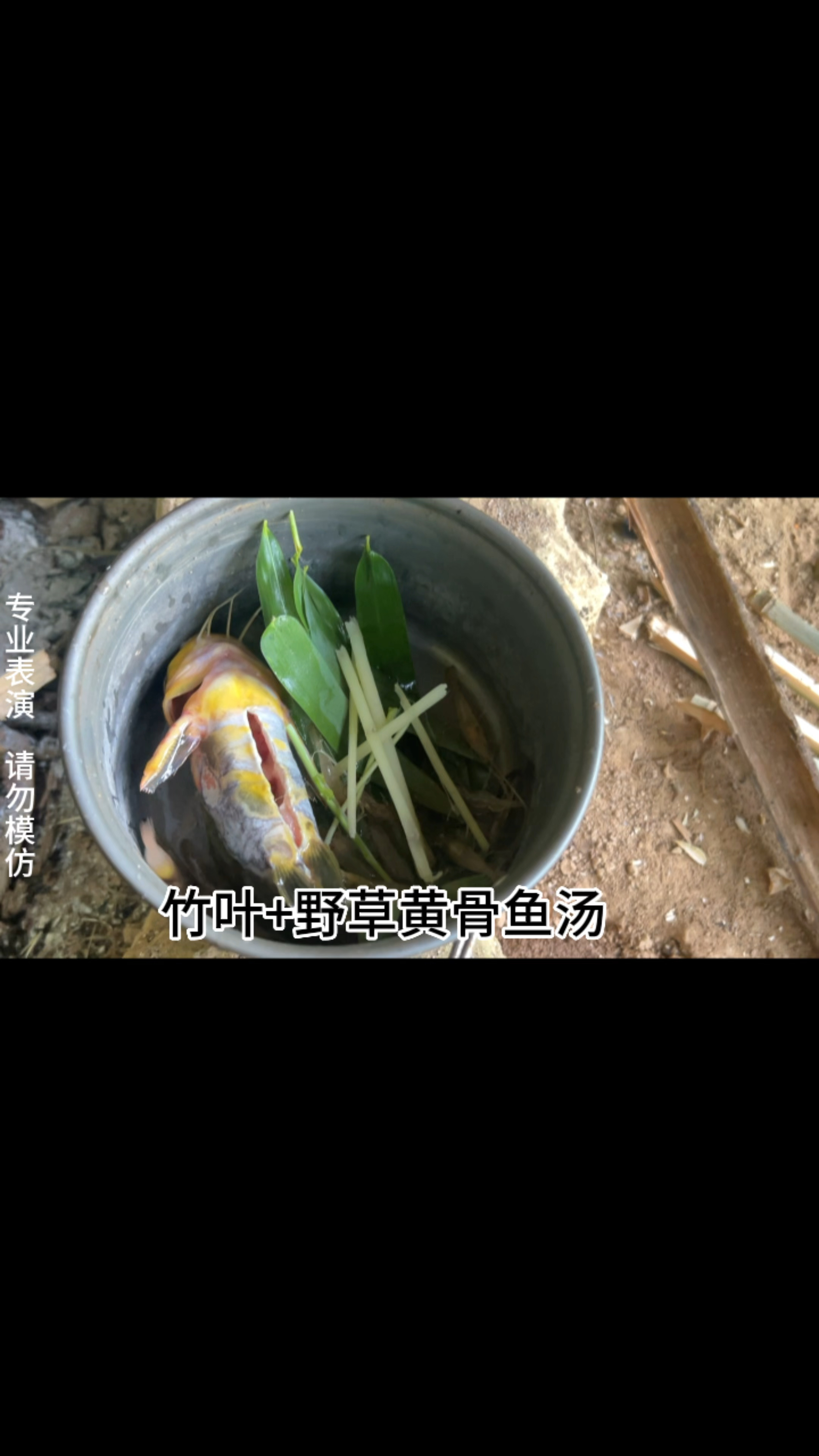黄骨鱼竹叶汤,荒野独居第四天