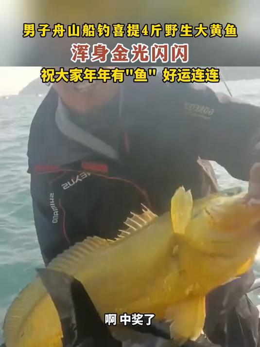 男子舟山船钓喜提4斤野生大黄鱼,浑身金光闪闪