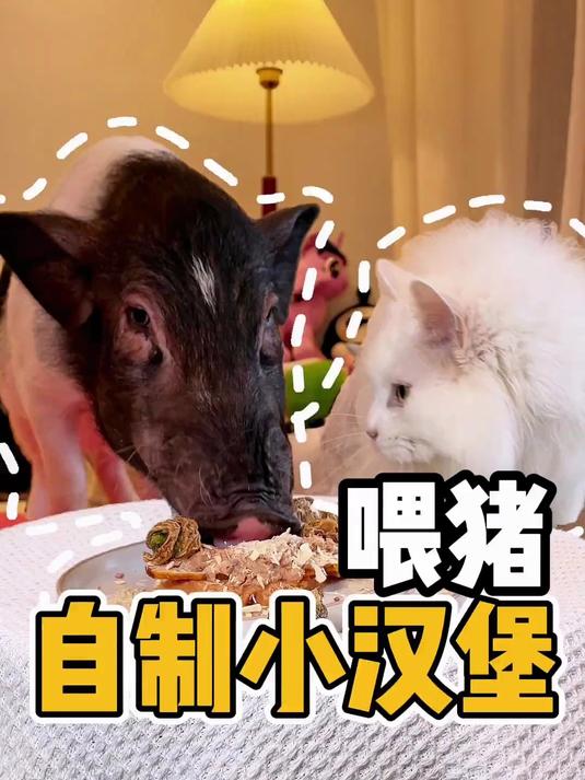 100000%纯肉小汉堡
